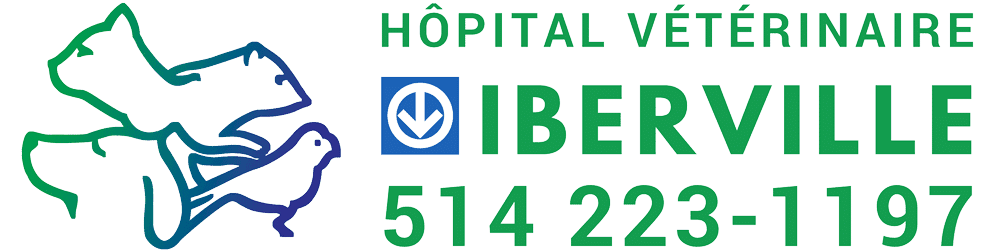 Hôpital Vétérinaire Métro Iberville