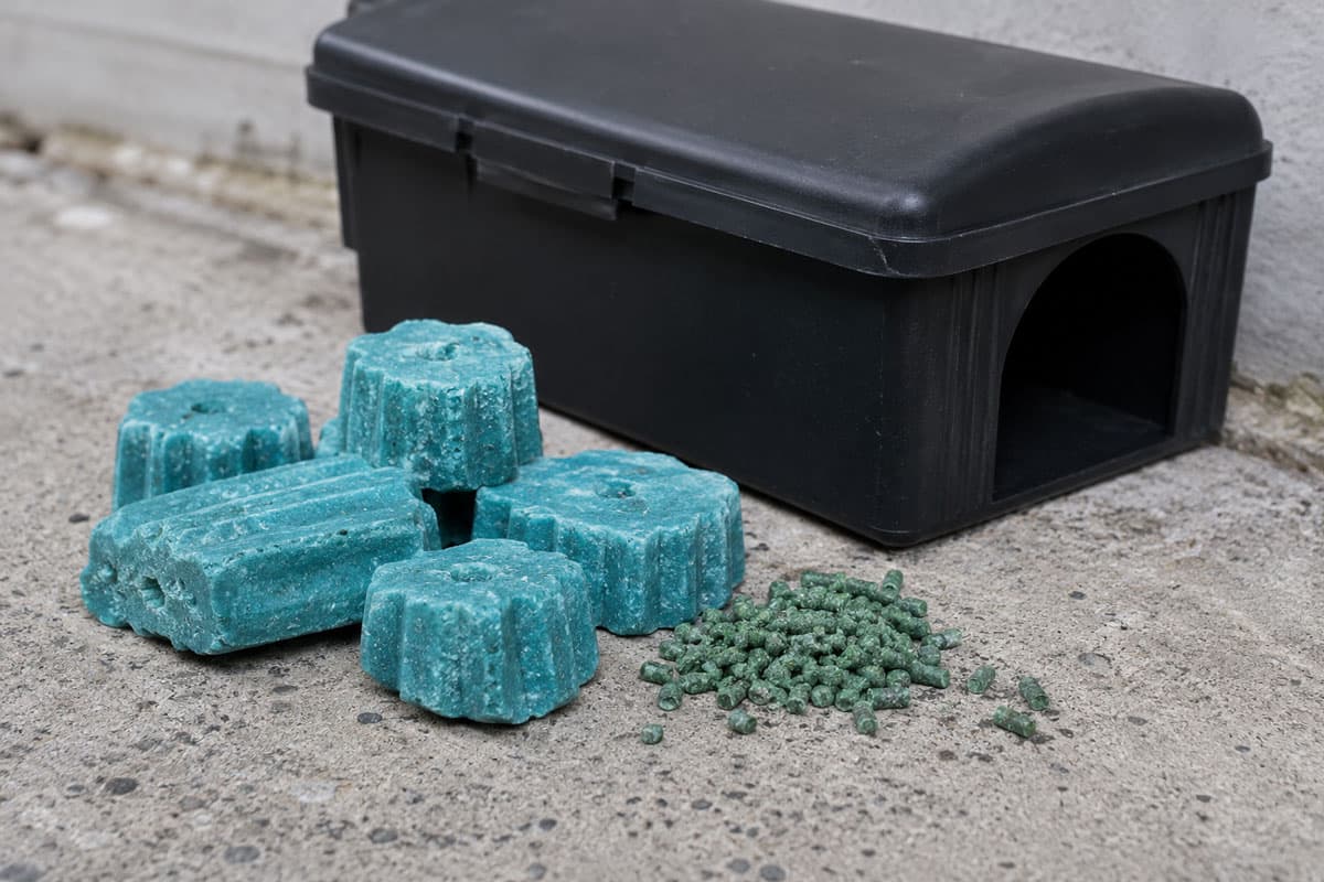 Turquoise rodenticide bait blocks and green pellets on concrete, in front of a black bait station